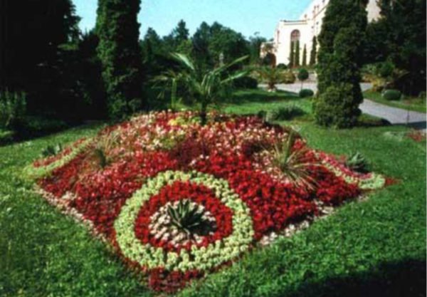 DESPRE-CLUJ-NAPOCA-5